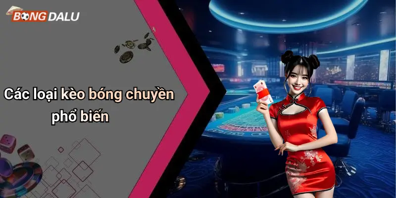 Các loại kèo bóng chuyền phổ biến
