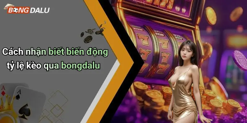 Cách nhận biết biến động tỷ lệ kèo qua bongdalu