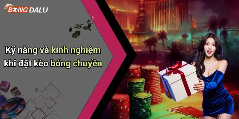 Kỹ năng và kinh nghiệm khi đặt kèo bóng chuyền
