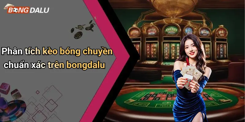 Phân tích kèo bóng chuyền chuẩn xác trên bongdalu