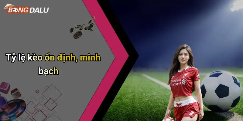 Tỷ lệ kèo ổn định, minh bạch