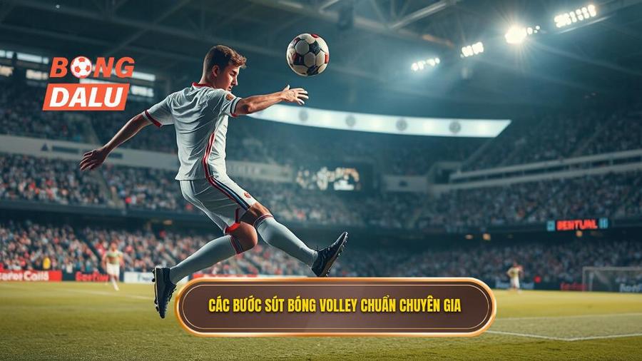 Các bước sút bóng volley chuẩn chuyên gia