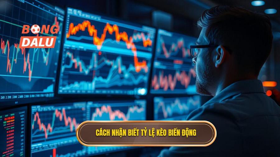 3. Cách nhận biết tỷ lệ kèo biến động