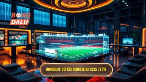 Bongdalu_ Soi kèo Bundesliga 2025 uy tín
