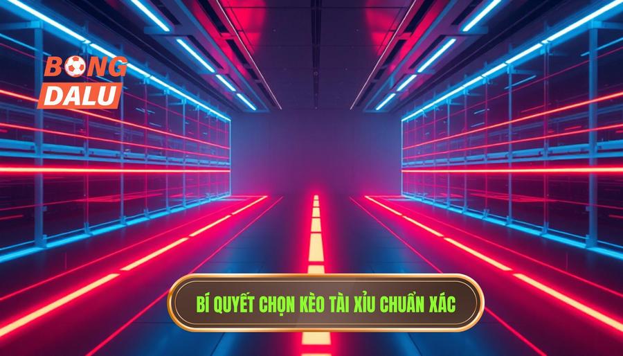 Phân tích đa chiều: Khi nào nên chọn Tài, khi nào nên chọn Xỉu?